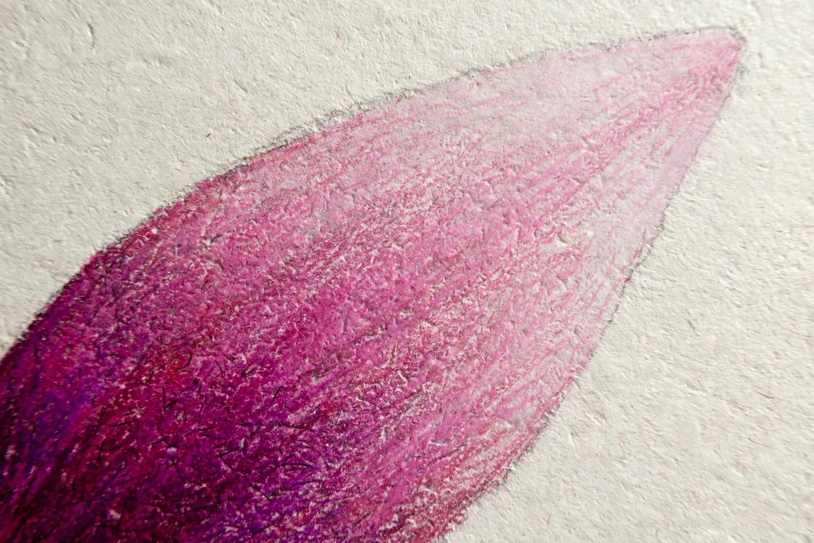 Close-up of a flower petal showing smooth blended gradient from dark magenta to pale pink